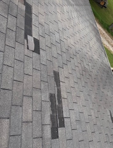 Asphalt shingle roof with wind-lifted and creased shingles