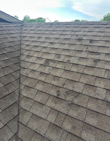 Close-up of hail-bruised asphalt shingles with granule loss